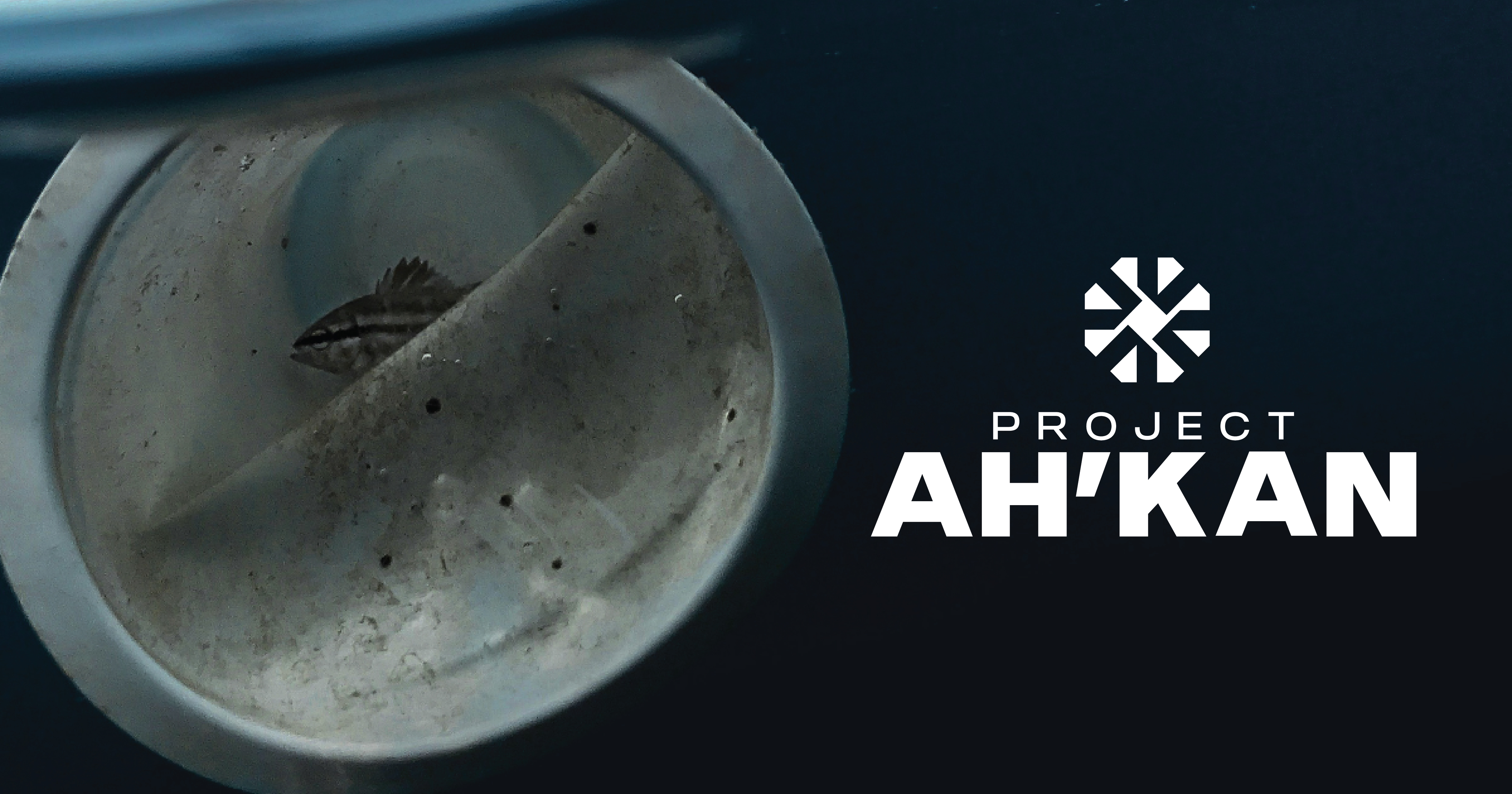 Project Ah'kan - Restoring Ecosystems, Empowering People